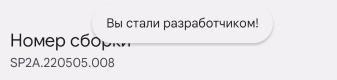 Активация режима разработчика